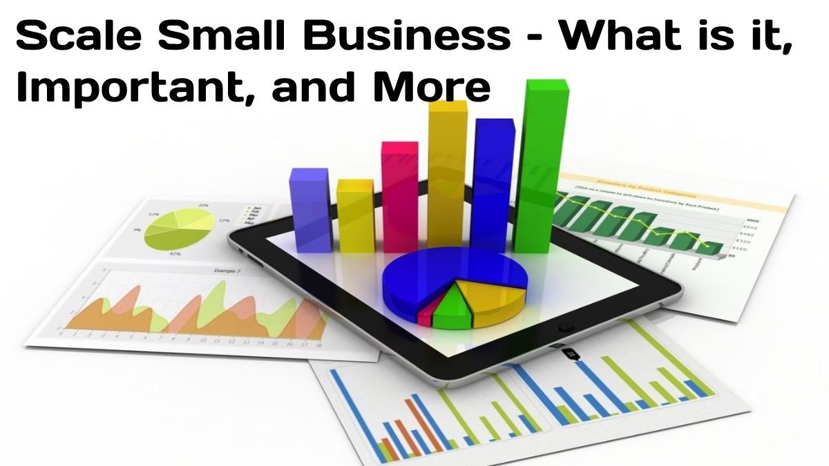 Scale Small Business – What is it, Important, and More
